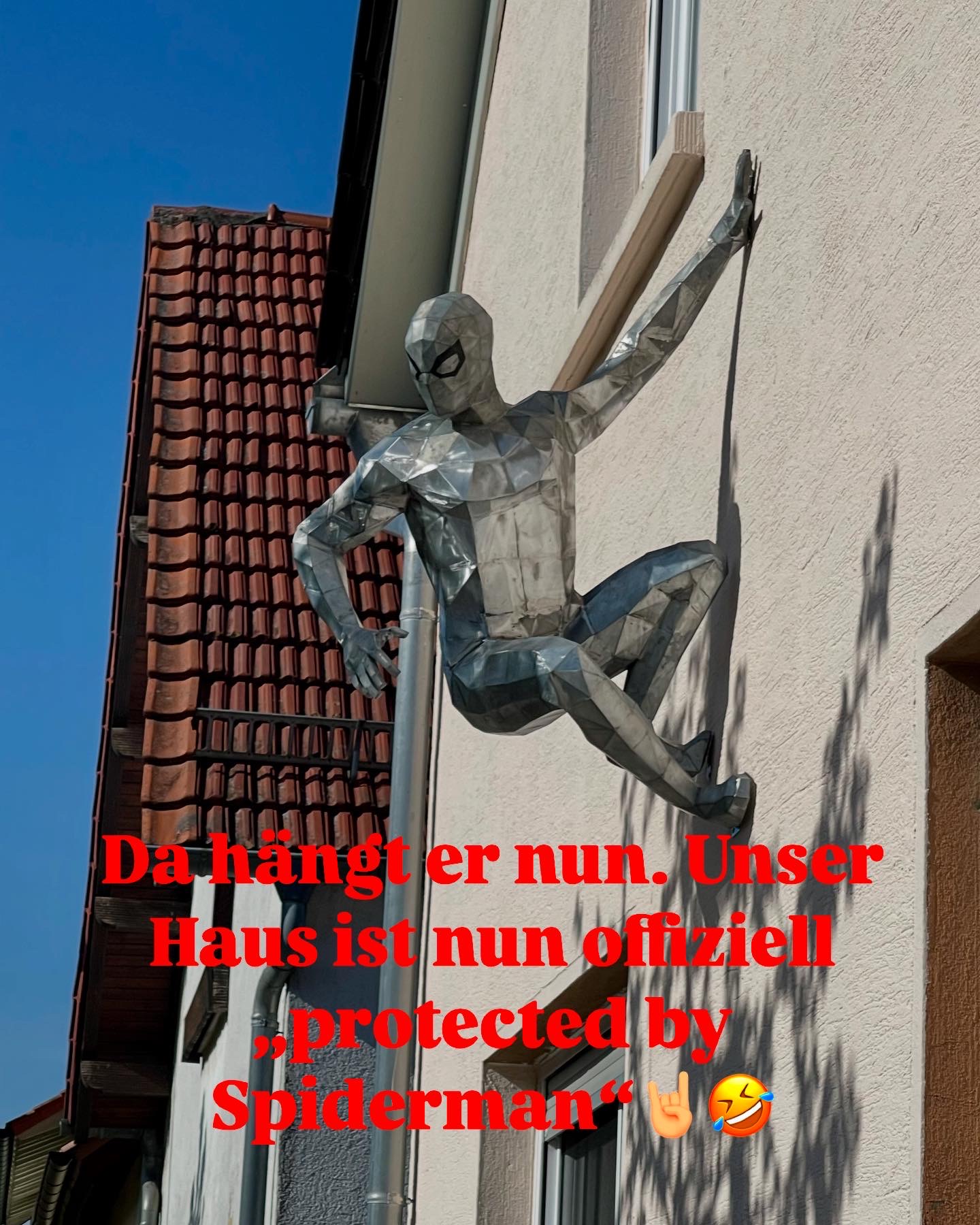 Die freundliche Spinne aus der Nachbarschaft